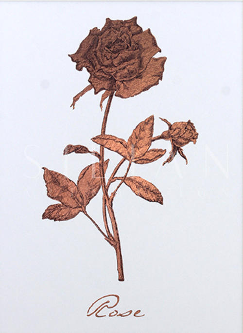 玫瑰金花 II