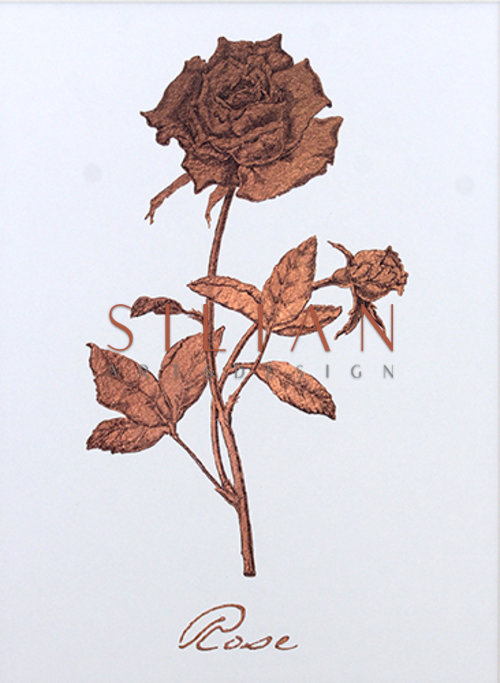 玫瑰金花 II
