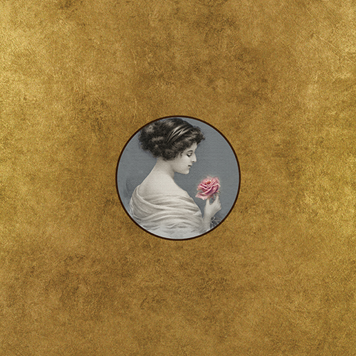 Elegant Lady Ⅱ