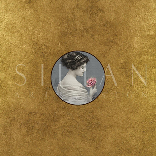 Elegant Lady Ⅱ