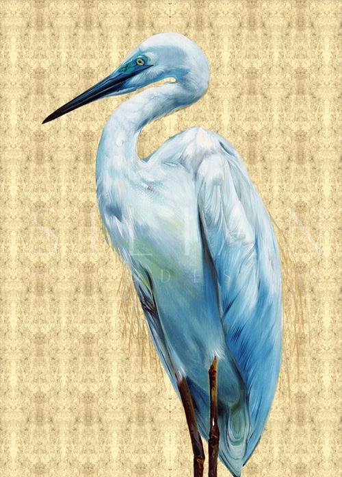 Glory Bird  II