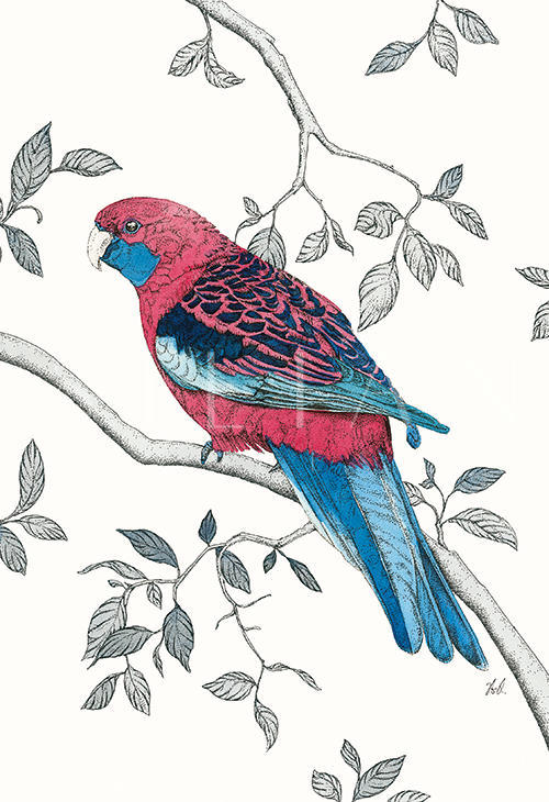 Avian Paradise II