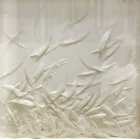 柔软的羽毛