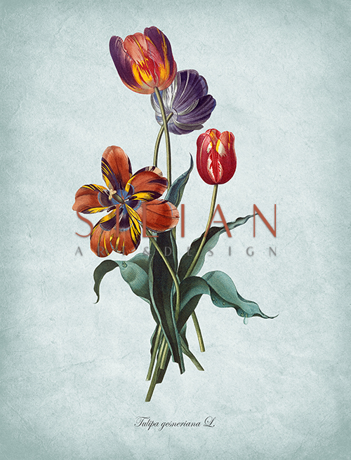 Flowers Bloom Ⅲ