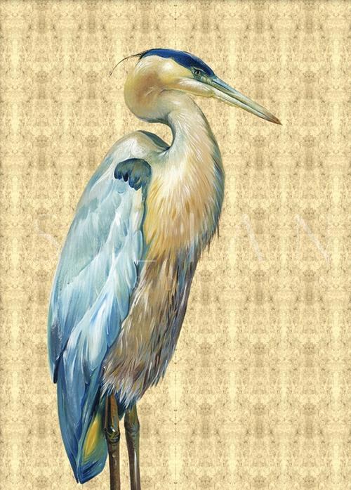 Glory Bird  I