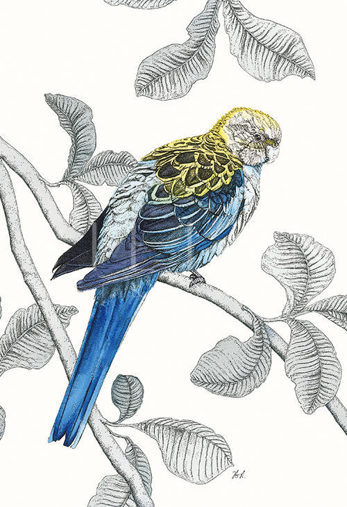 Avian Paradise IV