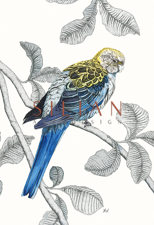 Avian Paradise IV