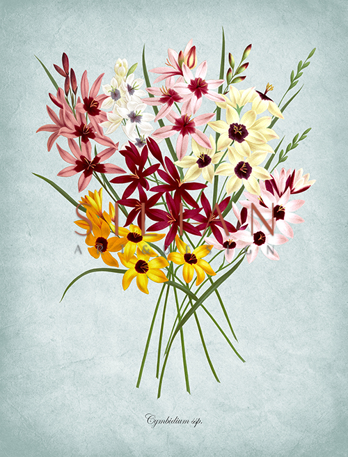 Flowers Bloom Ⅱ