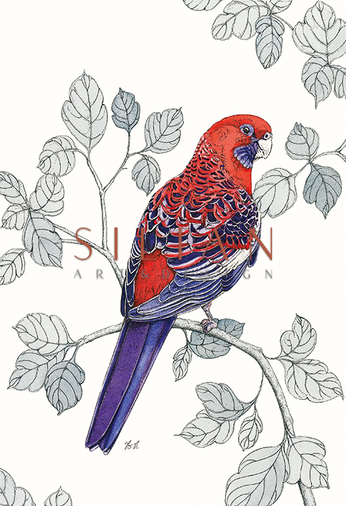 Avian Paradise V