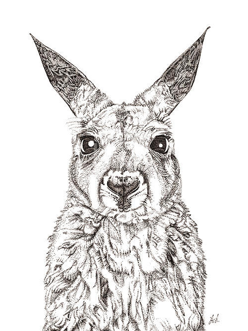 Animal Close Up I 