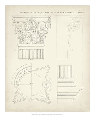 Greek & Roman Architecture I