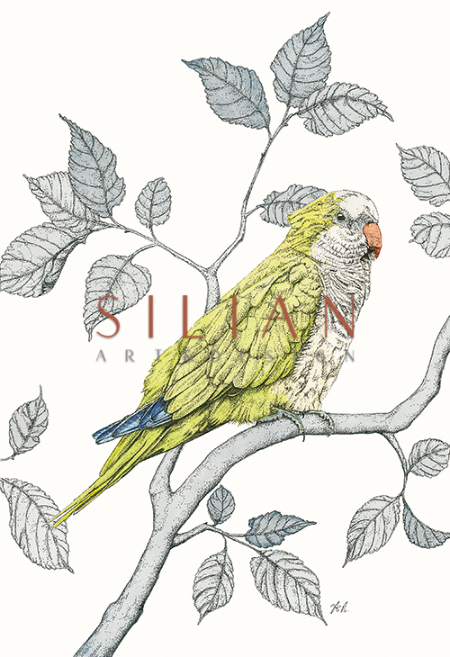 Avian Paradise I