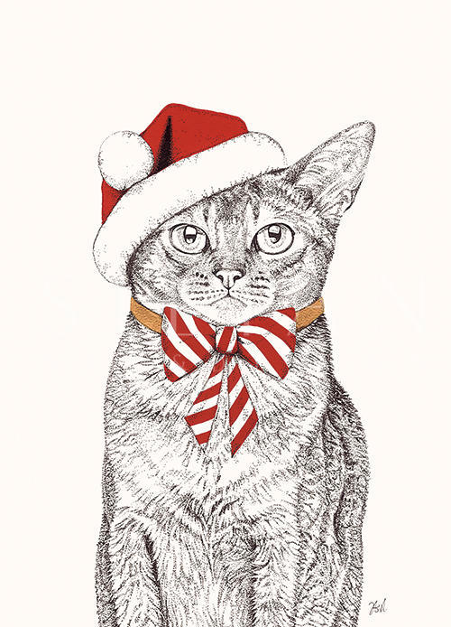 Santa's Friend Ⅱ