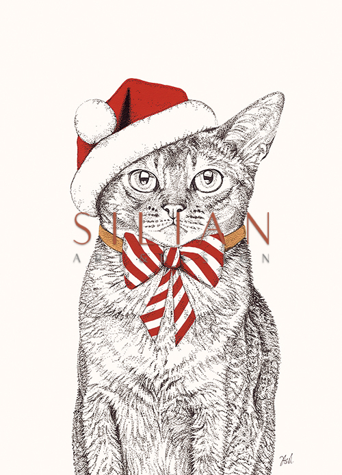 Santa's Friend Ⅱ