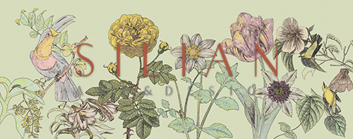  Flower Field