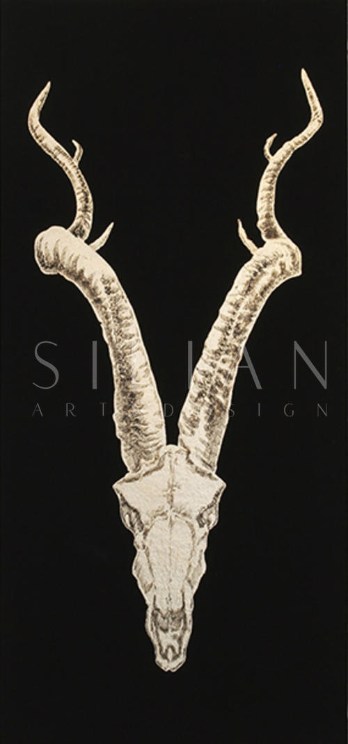 Animal Skull Ⅴ