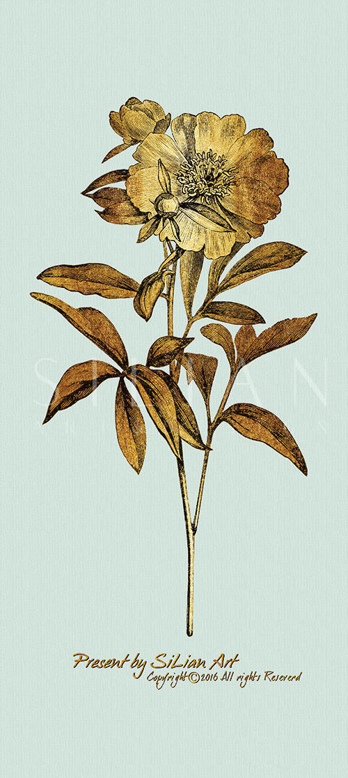  Gold Botanicals Ⅴ
