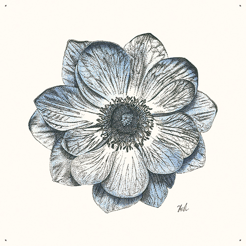 Blooming Flower Ⅴ