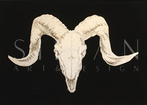 Animal Skull Ⅲ