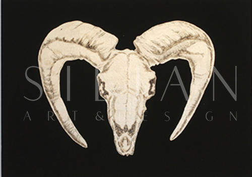 Animal Skull Ⅱ