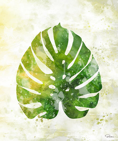 Happy Plants Ⅰ