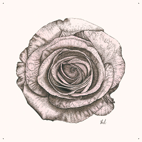 Blooming Flower Ⅱ