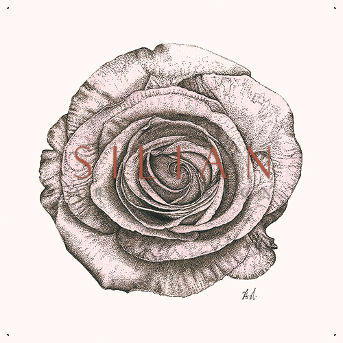 Blooming Flower Ⅱ