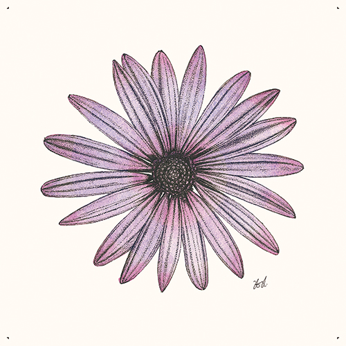Blooming Flower Ⅳ