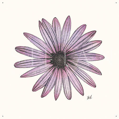 Blooming Flower Ⅳ