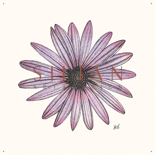 Blooming Flower Ⅳ