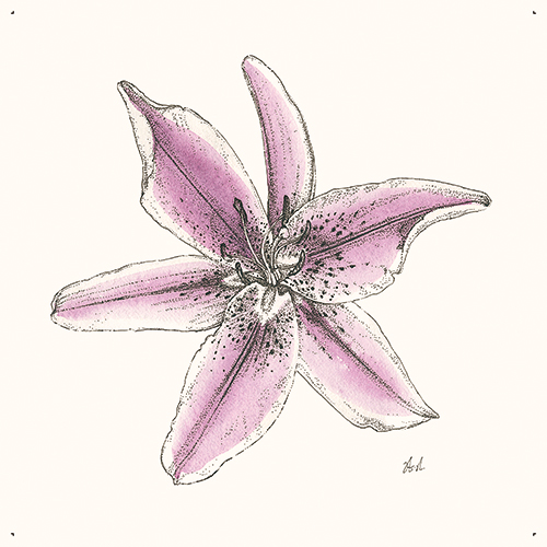 Blooming Flower Ⅲ