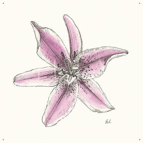 Blooming Flower Ⅲ