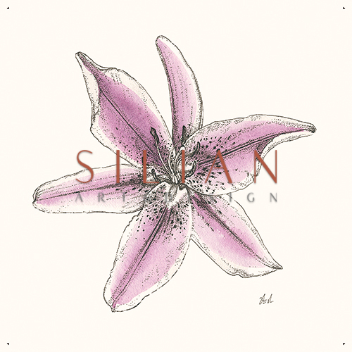 Blooming Flower Ⅲ