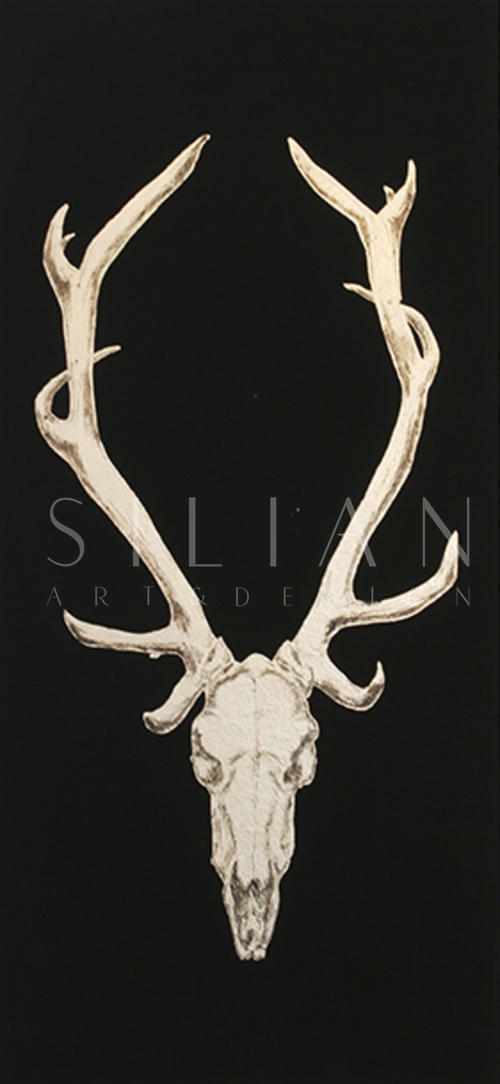 Animal Skull Ⅵ
