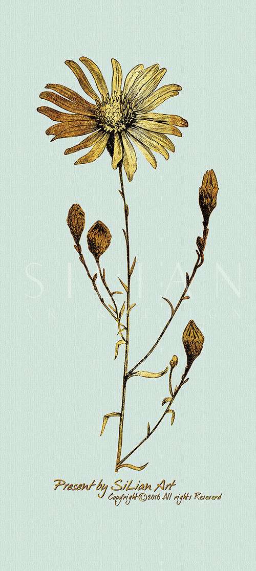 Gold Botanicals Ⅵ