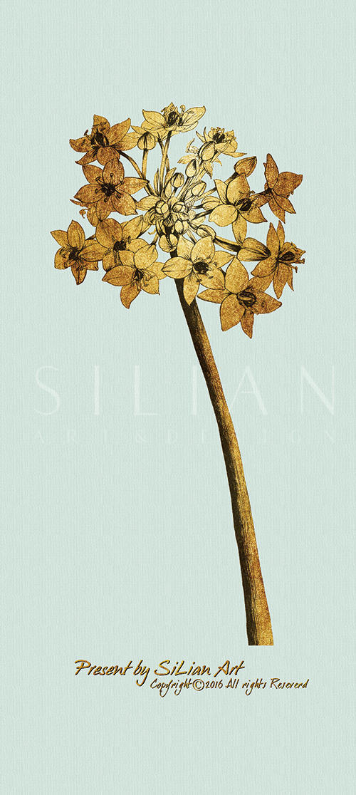 Gold Botanicals Ⅲ