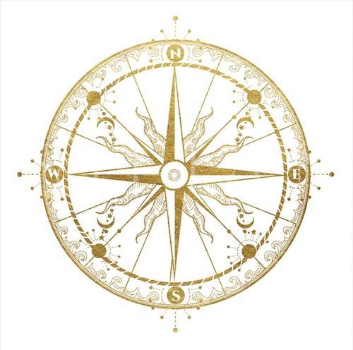 Starry Earth IX