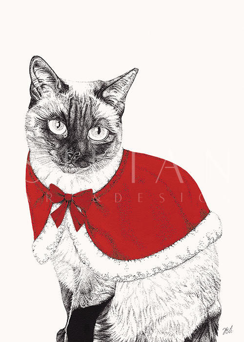Santa's Friend Ⅴ