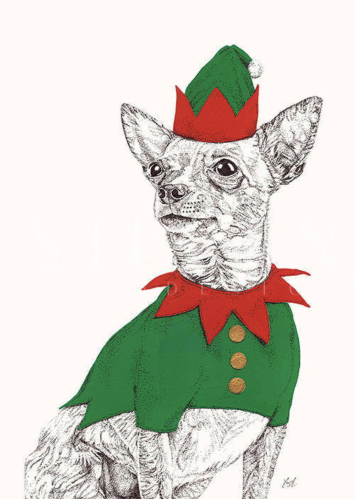 Santa's Friend Ⅳ