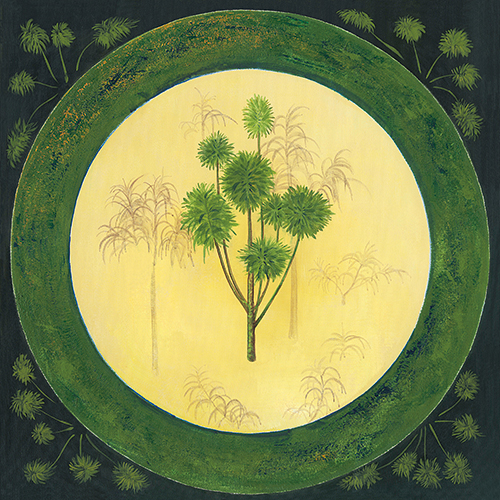 热带植物 IV