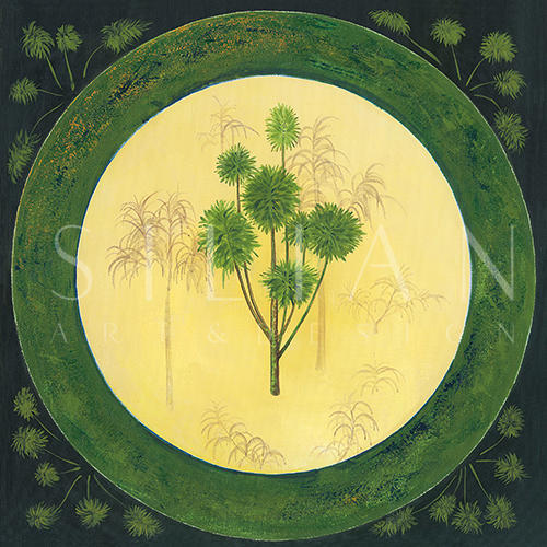 热带植物 IV