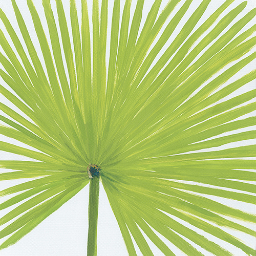 热情仲夏 XV