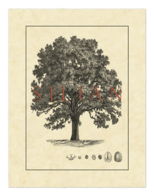 Vintage Tree I