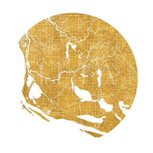 Golden Map II