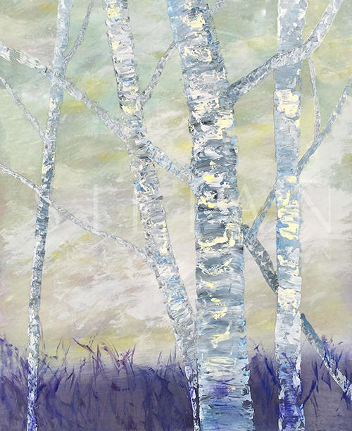 Silver Birch III