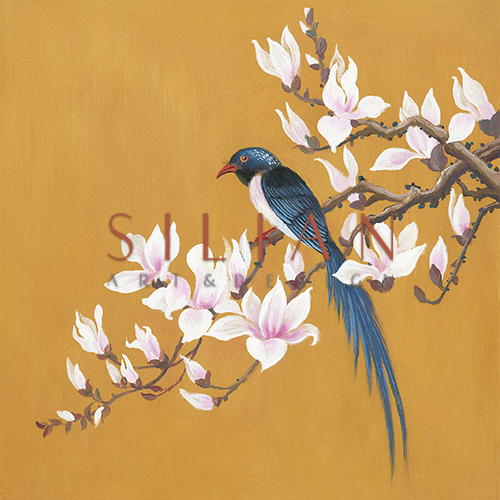 春风 I