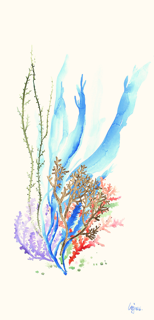 彩色珊瑚 II