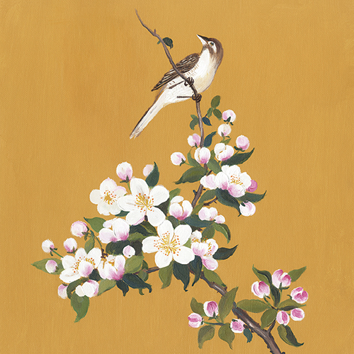 春风 III