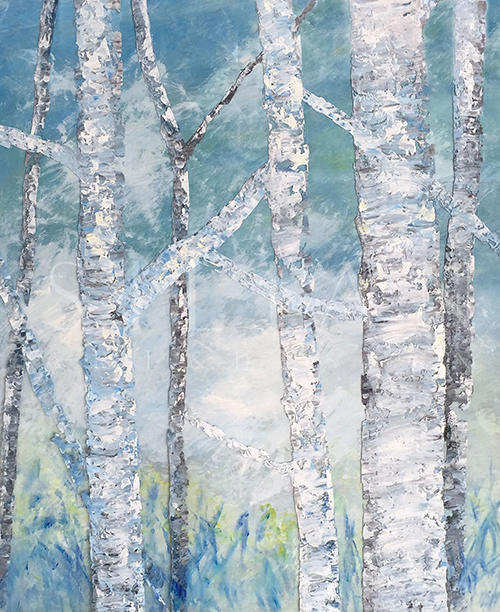 Silver Birch II