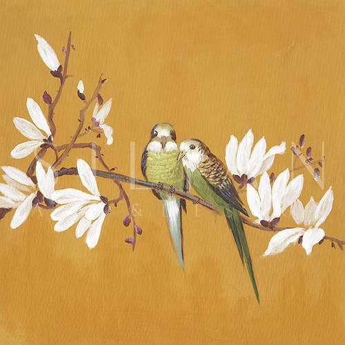 春风 II
